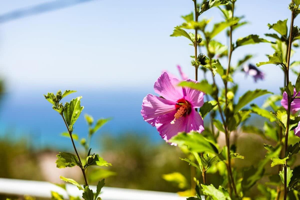 Aigli Fully Equipped Getaway - Seaview Lux Retreat Villa Kalamata Dış mekan fotoğraf